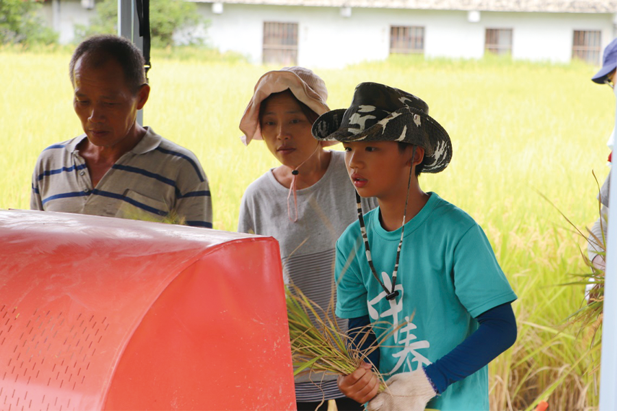 泰陽米傳奇：走出校園，在農務體驗中學習
